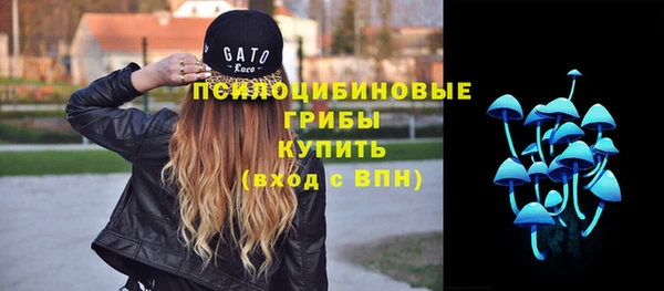 дживик Абинск