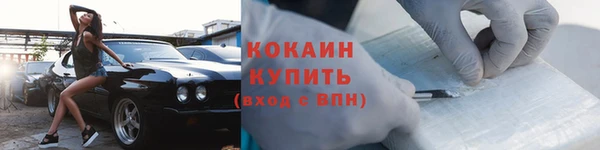 дживик Абинск