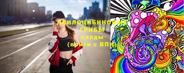 apvp Абаза