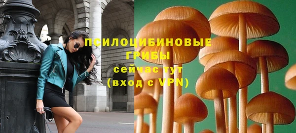 apvp Абаза
