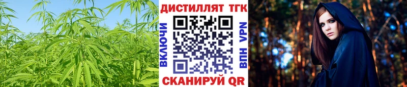 Дистиллят ТГК концентрат  OMG ССЫЛКА  Дрезна  купить наркотики сайты 