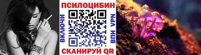 маркетплейс как зайти  хочу   Дрезна  Галлюциногенные грибы Psilocybe 